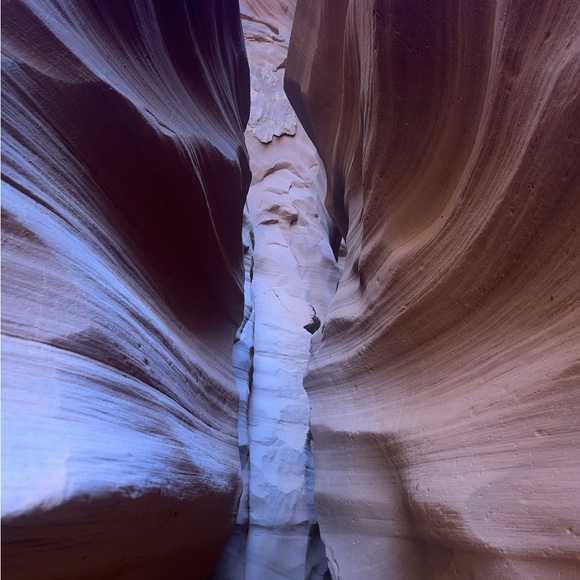 Meet your Posher, Roberto - Picture 5 of 16